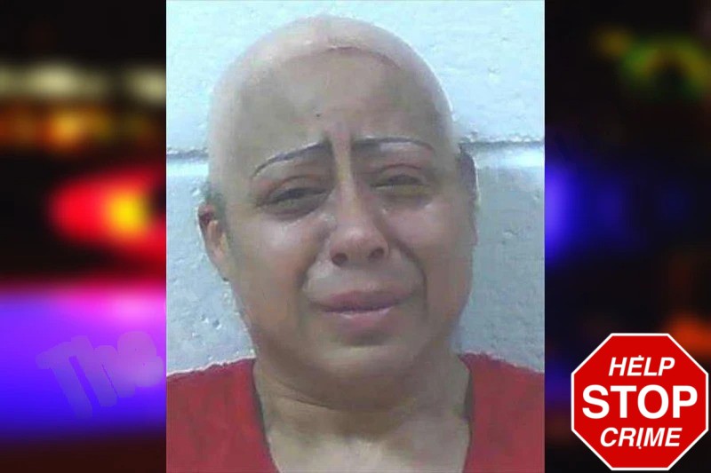 Kimberly Williams Mugshots