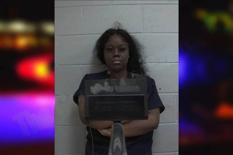 Kirsten Brinkley Mugshots