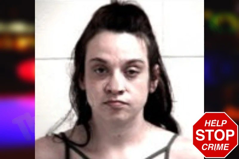 Kristen Kidd mugshot – Henry County , Georgia Kristen Kidd mugshot