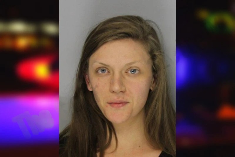 Kristin Link Mugshots