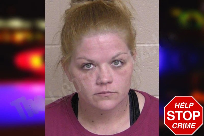 Kristin McGee mugshot