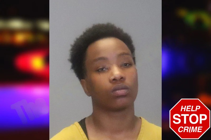 Ky-Reana Ash Mugshots