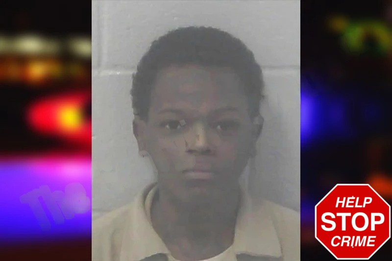 Ladarious Boswell Mugshots