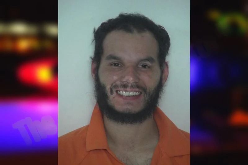 Ladarius McElwaney Mugshots