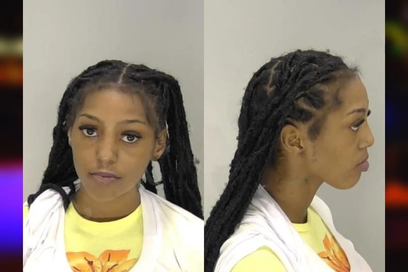 Laila Burns Mugshots
