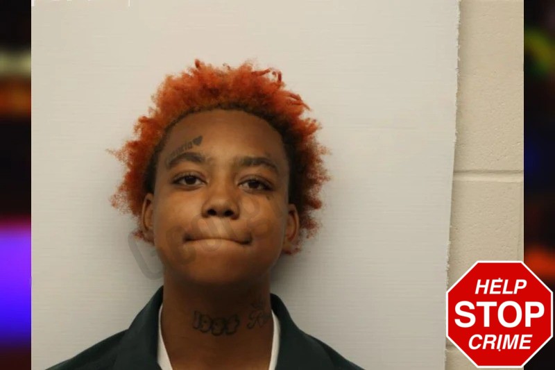 Laila Williams Mugshots