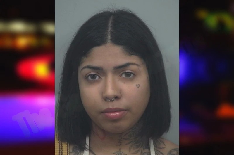 Laisha Arellanes mugshot