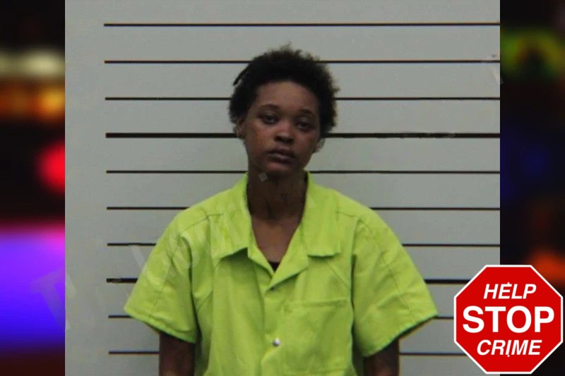 Lakendra Johnson Mugshots