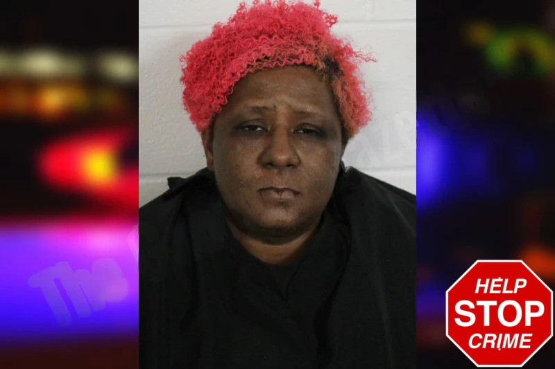 Lakisha Watkins Mugshots