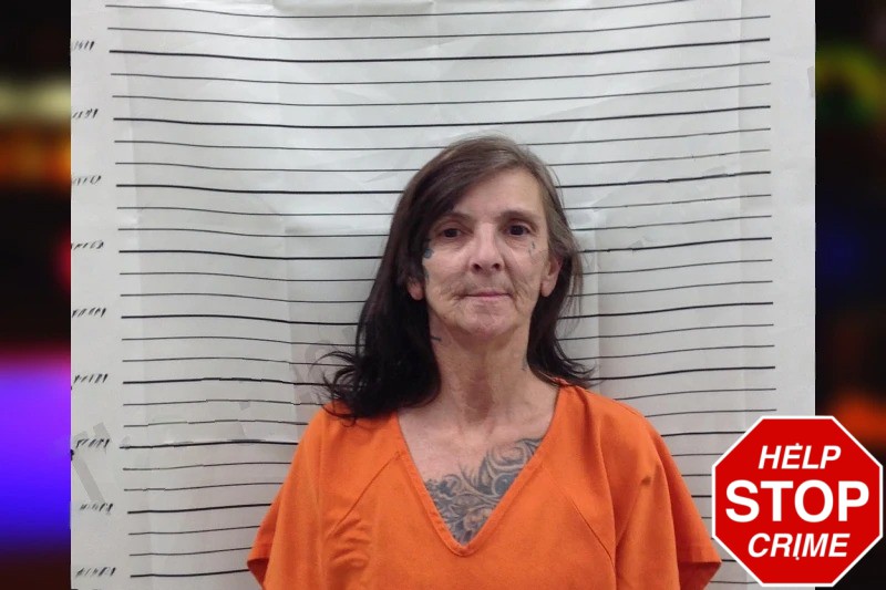 Lana Shipman Mugshots