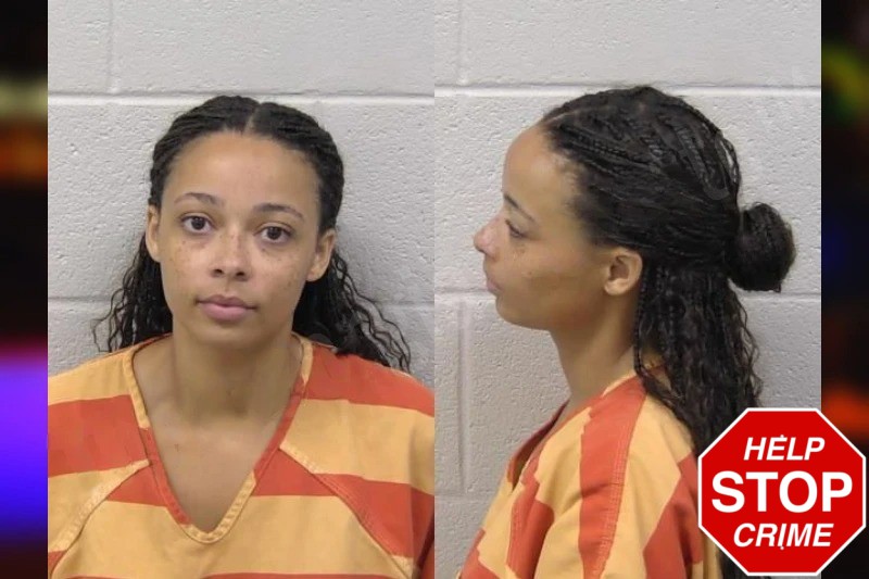 Lanae Ballard Mugshots