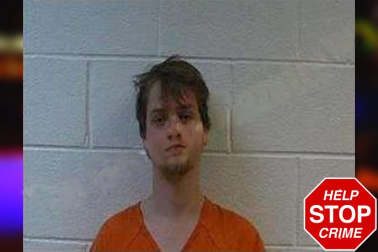 Landon Williams mugshot – Polk County , Georgia Landon Williams