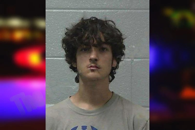 Lane Turner Mugshots