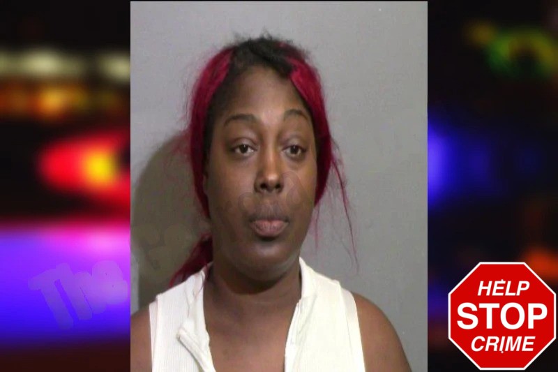 Lanesha Thomas Mugshots