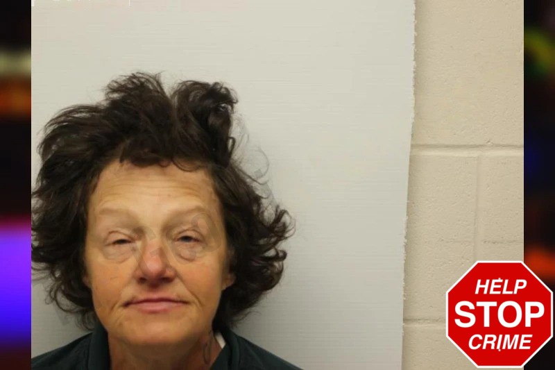 Lanette Stark Mugshots