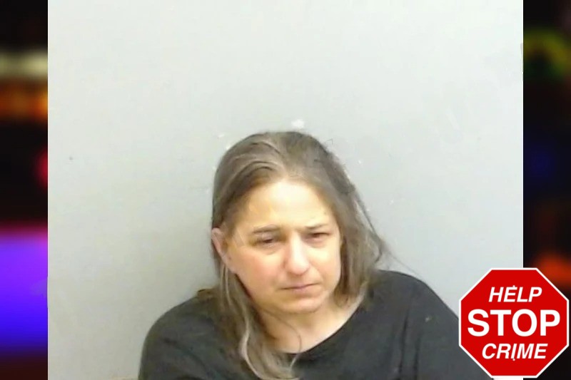 Lara Silverman Mugshots