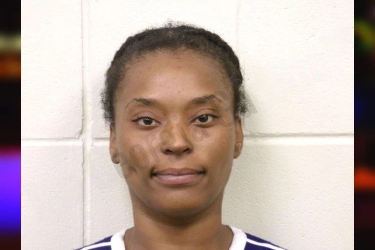 Laraya Mincey mugshot – Madison County , Georgia Laraya Mincey