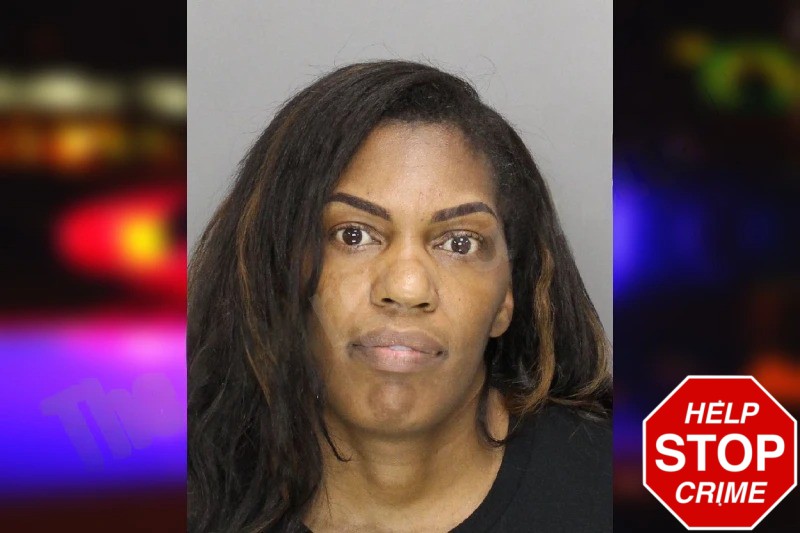 Lashanda Hudson Mugshots