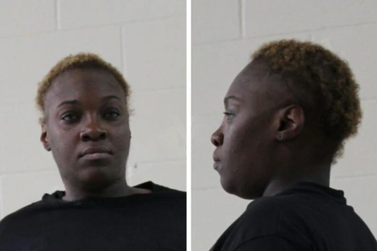 Lashandra Watkins mugshot – Houston County , Georgia Lashandra Watkins