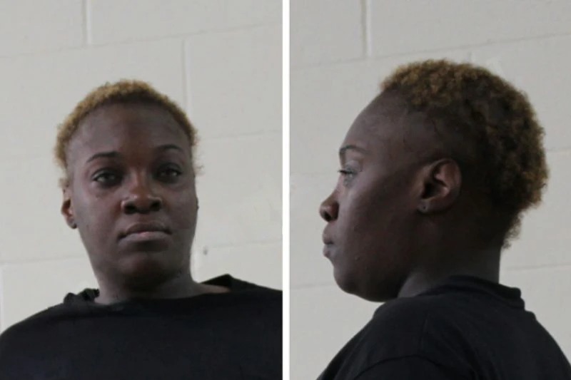 Lashandra Watkins Mugshots