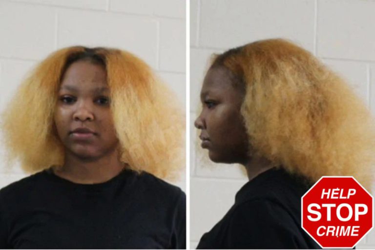 Lashauna Pieter mugshot – Houston County , Georgia Lashauna Pieter