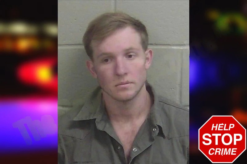 Lathan Rewis mugshot – Wayne County , Georgia Lathan Rewis mugshot