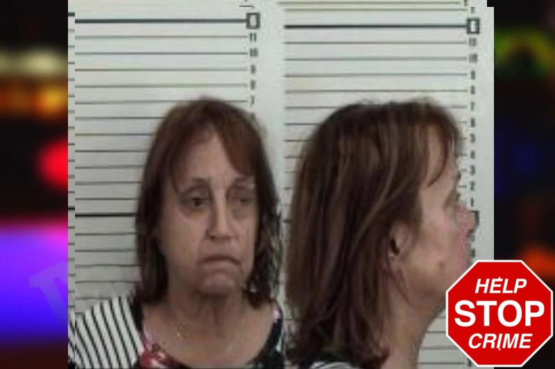 Laura Gerlach Mugshots