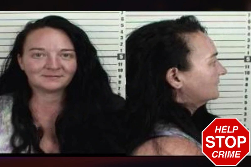 Laura Skidmore Mugshots