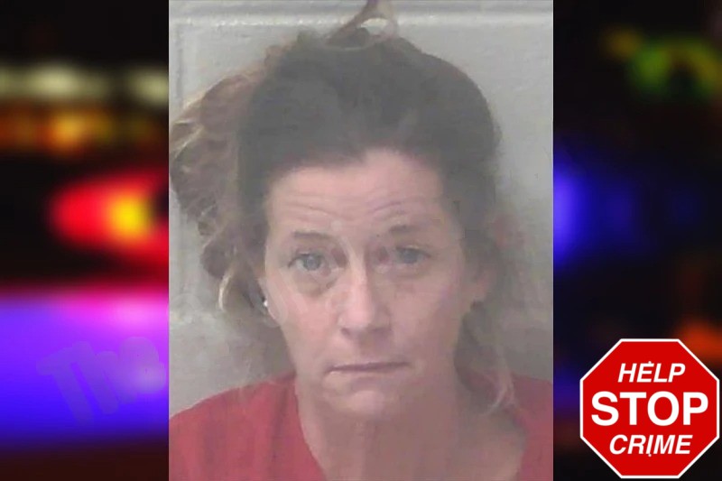 Laura Torbush Mugshots