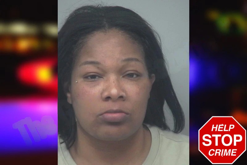 Lauren Jones mugshot – Gwinnett County , Georgia Lauren Jones mugshot