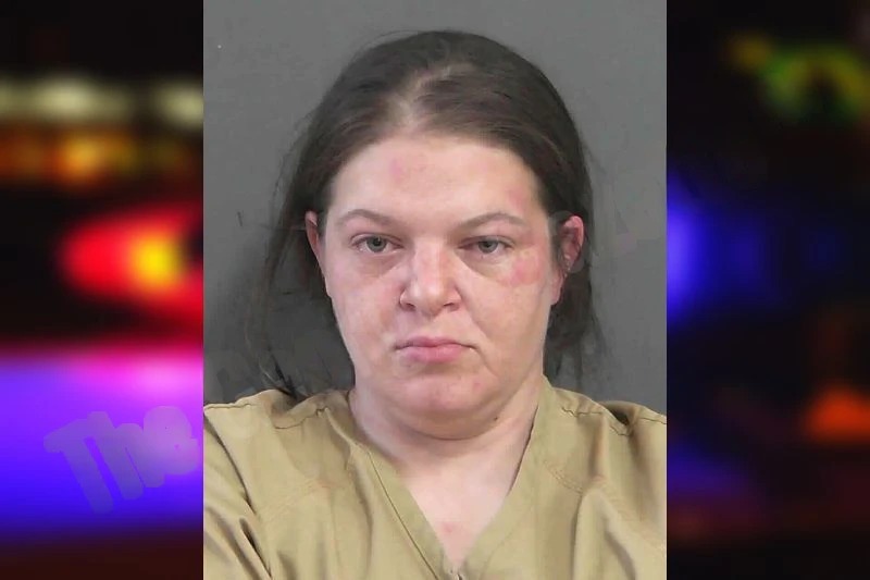 Lauren Lichtenberger Mugshots