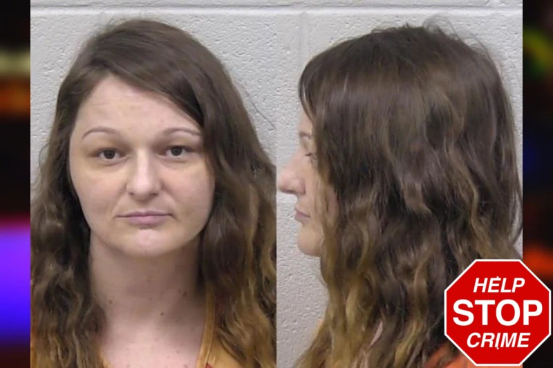 Lauren MacKain mugshot – Paulding County , Georgia Lauren MacKain mugshot