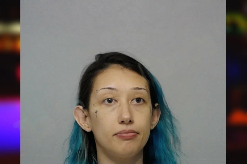 Lauren Williams Mugshots