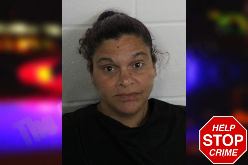 Lavonia Stiles Mugshots