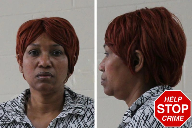 Lawanda Johnson mugshot