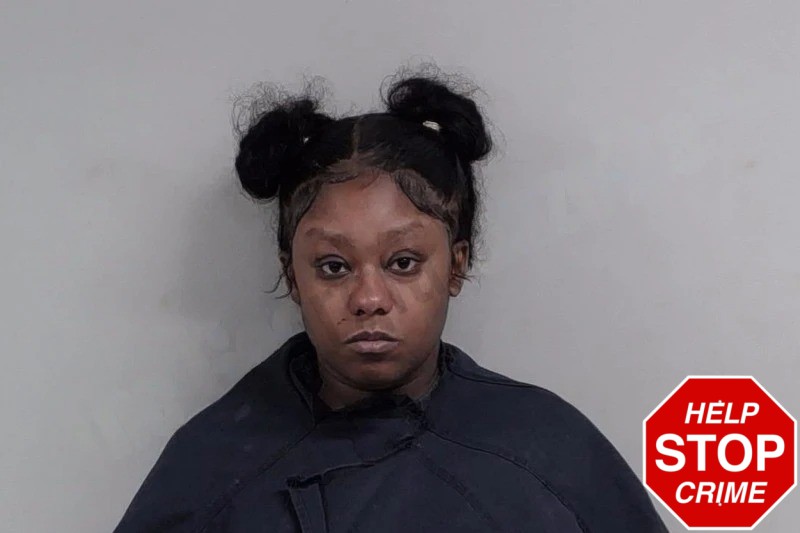 Leandra Barnett Mugshots