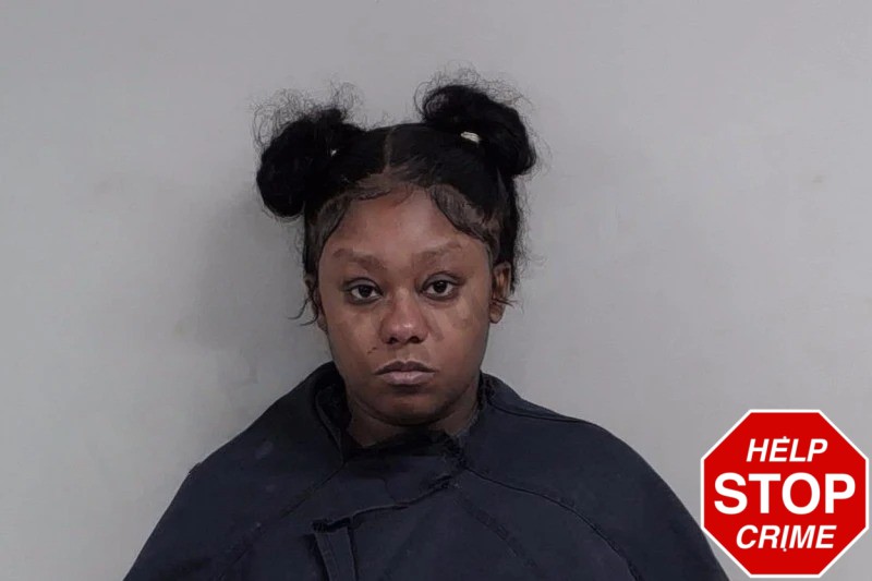 Leandra Barnett Mugshots
