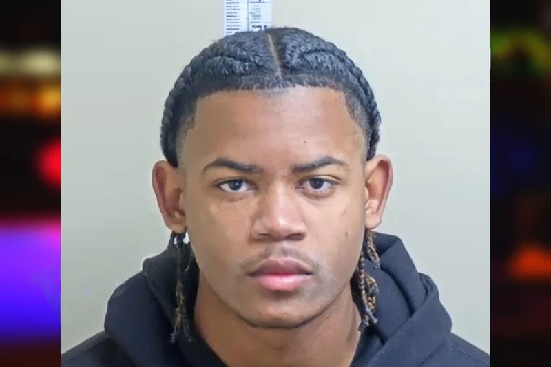 Leandris Pichardo-Almonte mugshot