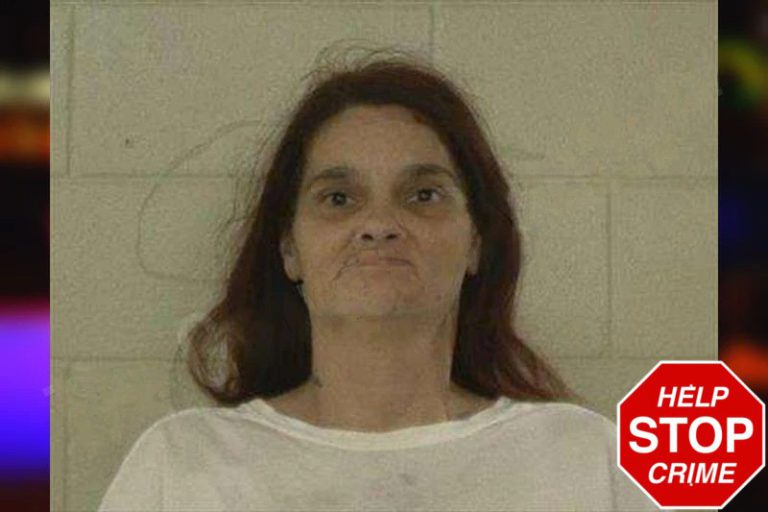 Leann Surber mugshot – Liberty County , Georgia Leann Surber