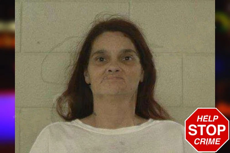 Leann Surber mugshot – Liberty County , Georgia Leann Surber mugshot