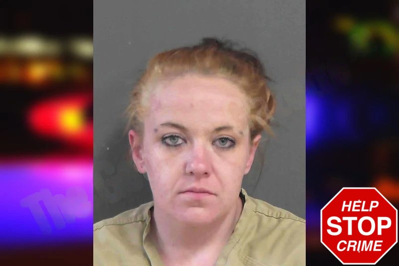 Leeanna Dobson mugshot – Gordon County , Georgia Leeanna Dobson mugshot