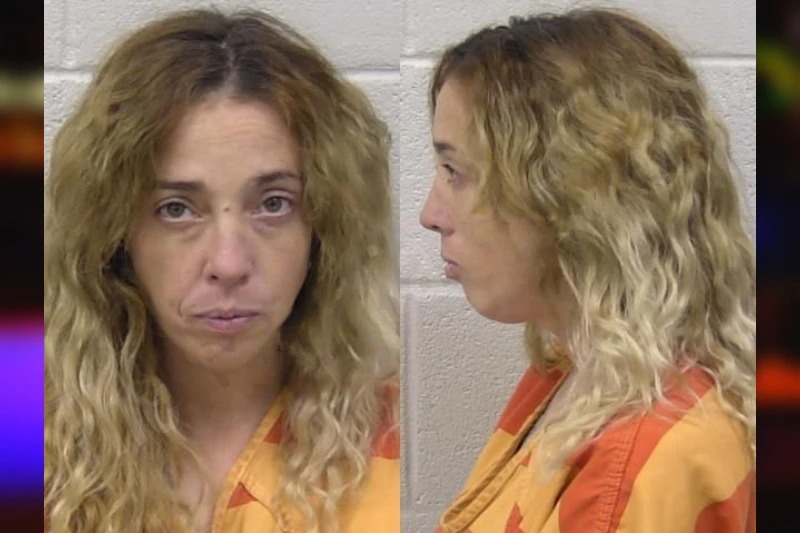 Leeanne Williams Mugshots