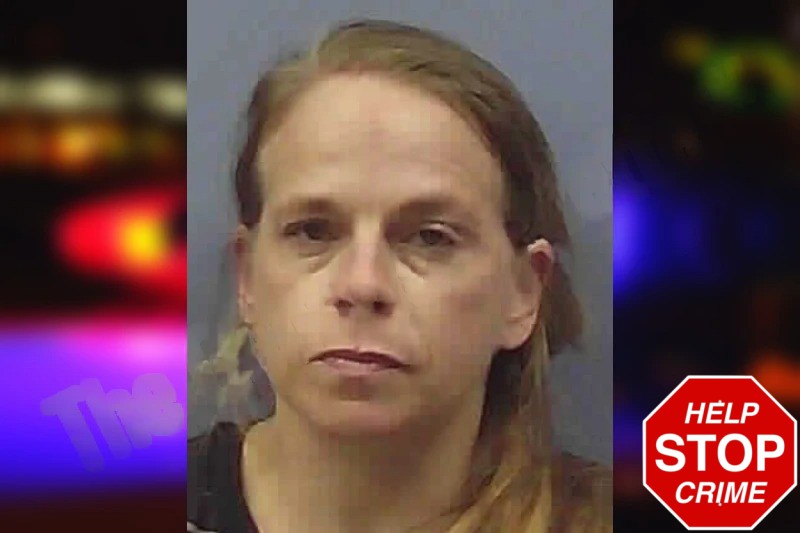 Leena Daniel Mugshots