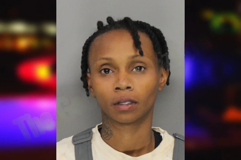 Leigh Johnson Mugshots