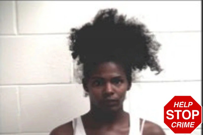Lena Lewis mugshot