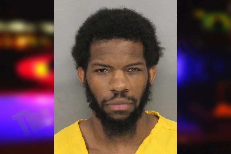 Lenois Rice mugshot – Cobb County , Georgia Lenois Rice mugshot