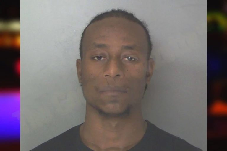 Leon Gibson mugshot – Douglas County , Georgia Leon Gibson