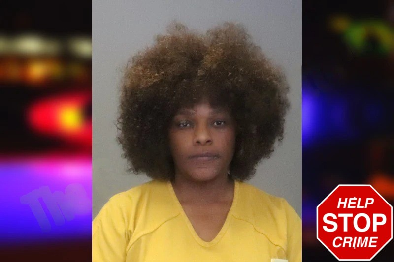 Lesia Payne Mugshots