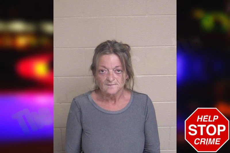 Lesley Pasour mugshot – Walker County , Georgia Lesley Pasour mugshot