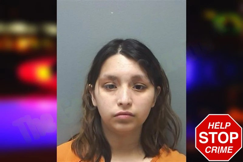 Lesley Sanchez Mugshots